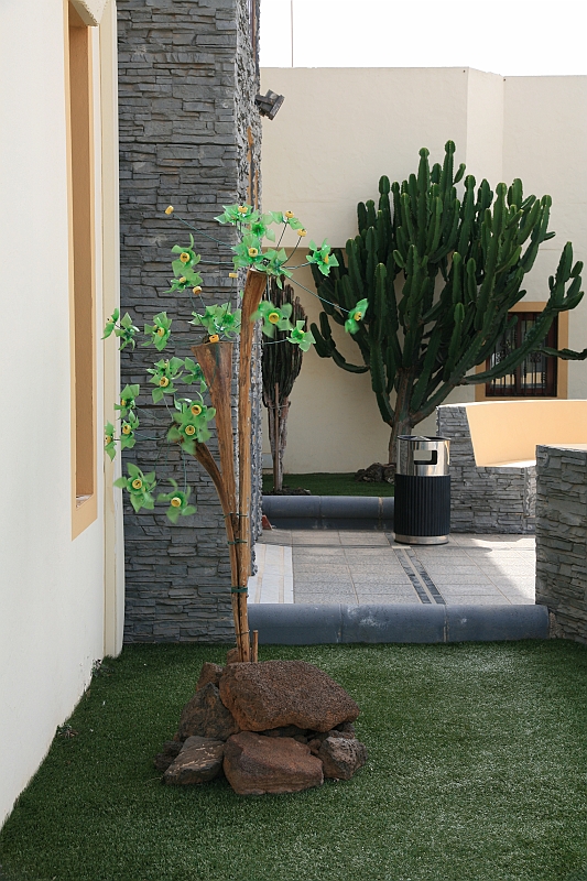 Kanary_2010 159